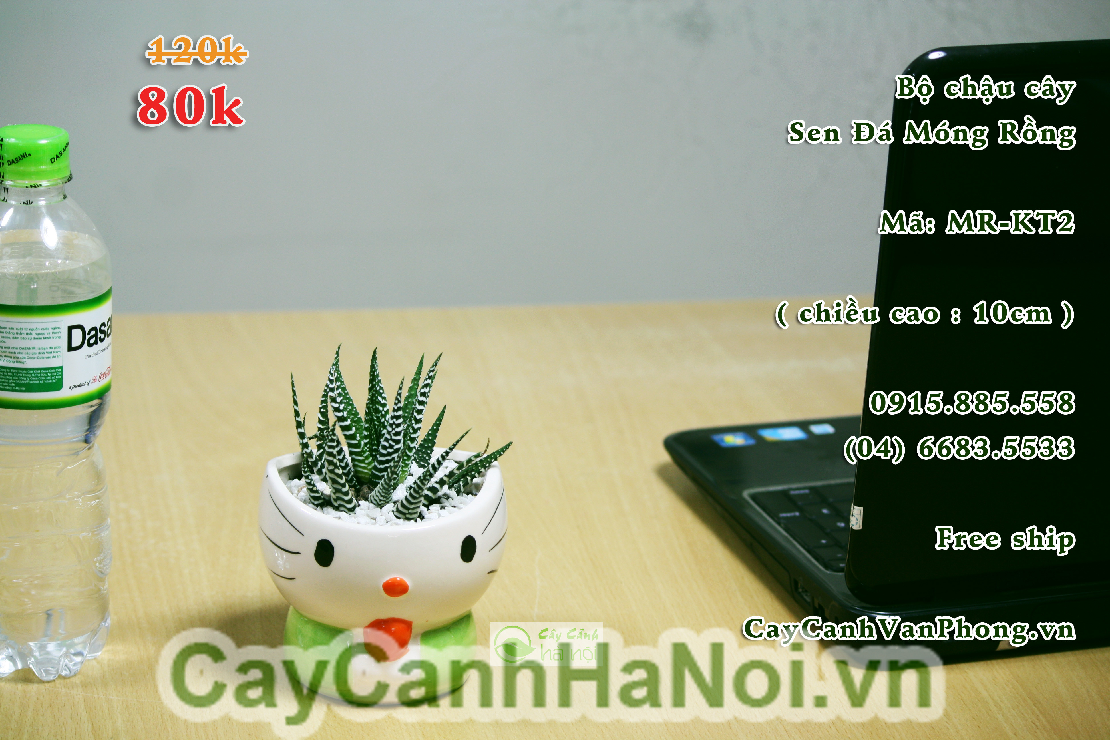 cây để bàn